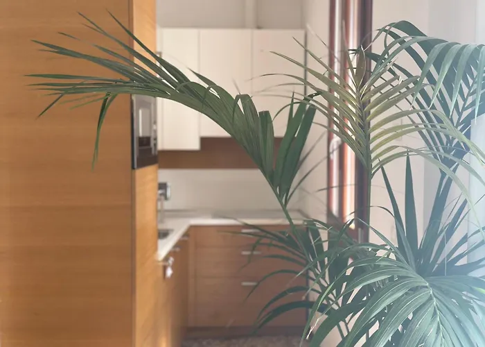 Ca' D'oro * 威尼斯